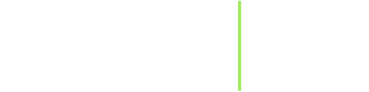 Real Vision